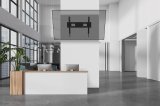 Neomounts WL35-750BL18 tv-beslag 2,49 m (98