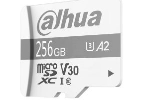 Dahua Technology P100 256 GB MicroSD UHS-I Klasse 10 #1