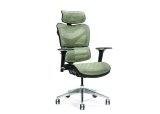 Ergonomisk kontorstol ERGO 600 grn #1