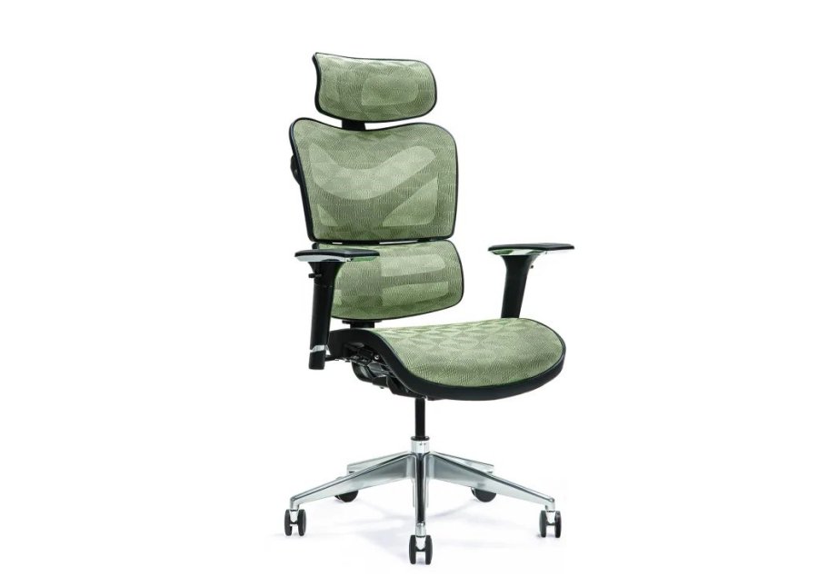 Ergonomisk kontorstol ERGO 600 grn #1