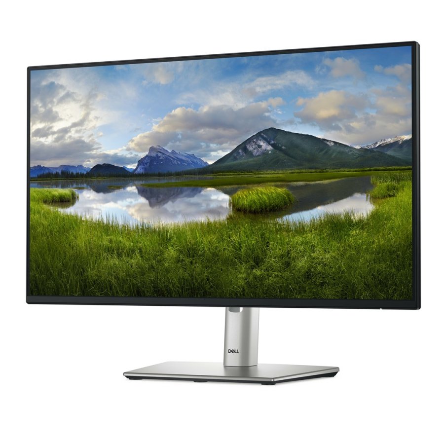 DELL P Series P2425H computerskrm 61 cm (24