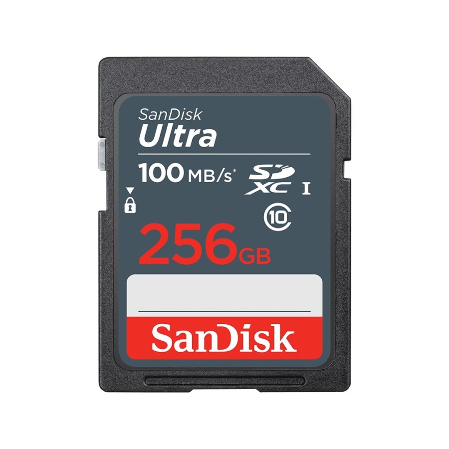SanDisk Ultra 256 GB SDXC UHS-I Klasse 10 #1