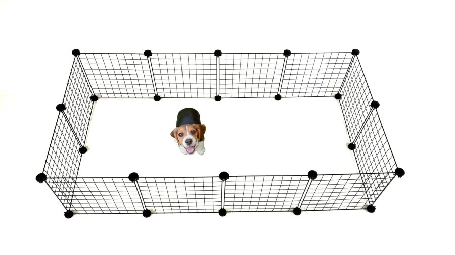 C&C Modulr hundeluftbane 145x75x37 cm #15