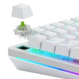 Glorious Gaming GLO-KB-ACC-SWT-RAPTOR-LUBED-36 tilbehr til tastatur Tastaturafbrydere #2