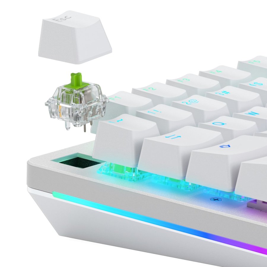 Glorious Gaming GLO-KB-ACC-SWT-RAPTOR-LUBED-36 tilbehr til tastatur Tastaturafbrydere #2