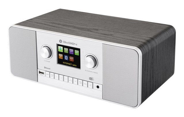 GoGen IR 257 BTDAB Internet Digital S�lv #1