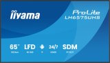 Monitor IIYAMA 65
