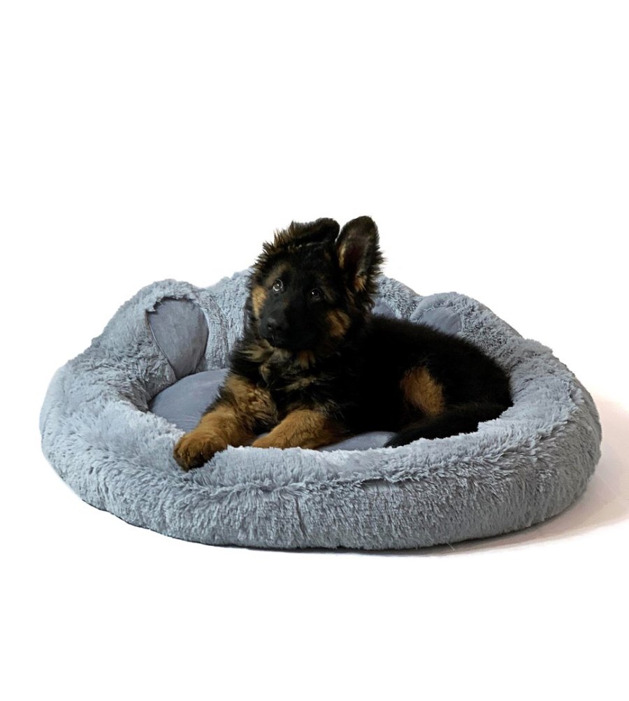 GO GIFT Hunde- og katteseng XL - gr - 75x75 cm #2