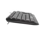 NATEC TASTATUR TROUT SLIM USB, US-LAYOUT, SORT #4