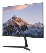 LCD Monitor 22