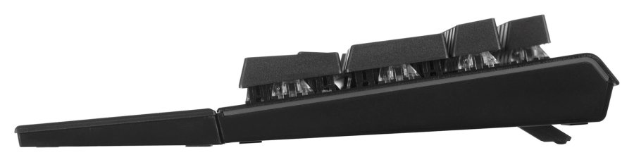GAMING-TASTATUR ENDORFY OMNIS KAILH BR RGB #13