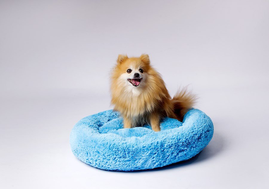 GO GIFT Shaggy blue XL - seng til kledyr - 80 x 83 x 10 cm #2
