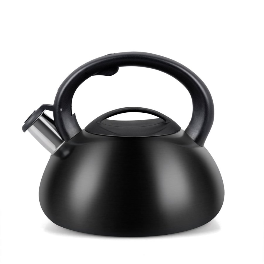 Kedel PROMIS TMC01BS AUGUSTO MATT 3 liter INDUKTION, GAS #1