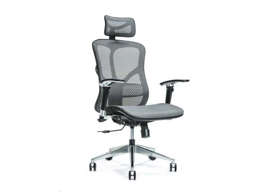 Ergonomisk kontorstol ERGO 500 gr #1