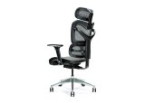 Ergonomisk kontorstol ERGO 600 gr #3