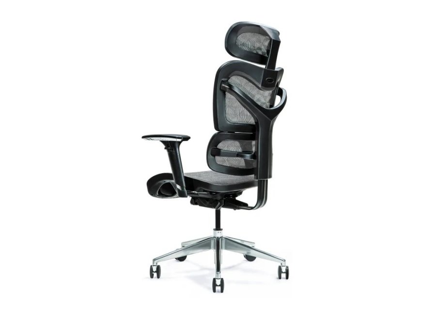 Ergonomisk kontorstol ERGO 600 gr #3