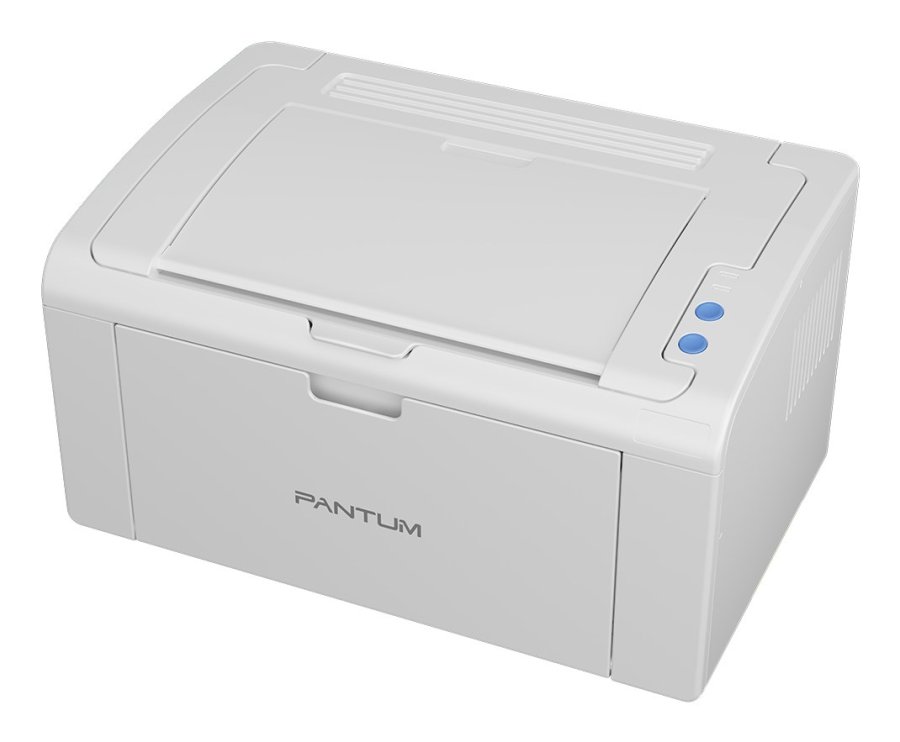 Pantum P2509W laser printer 1200 x 1200 dpi A4 Wi-Fi #6