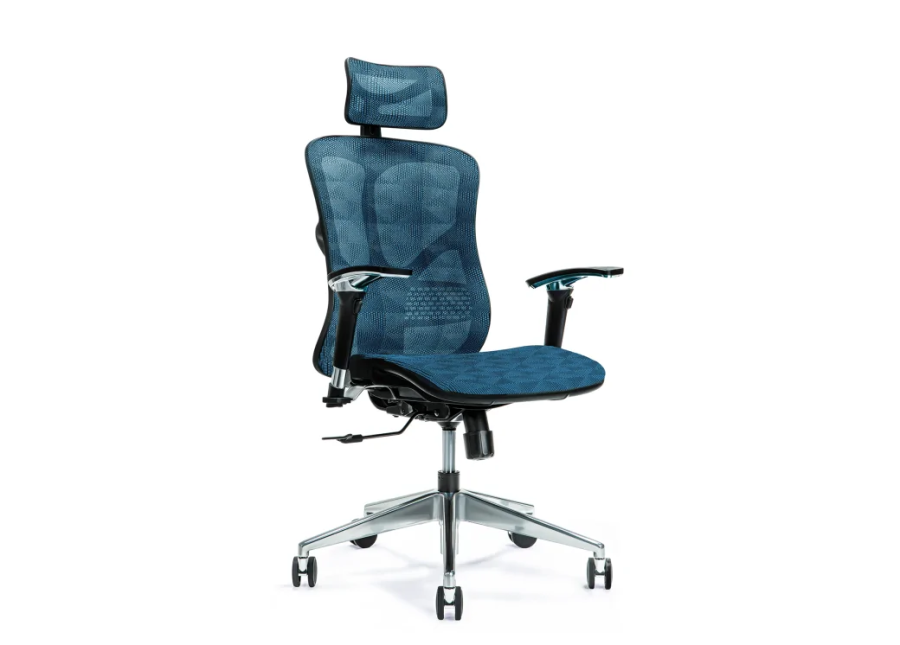 Ergonomisk kontorstol ERGO 500 bl #1