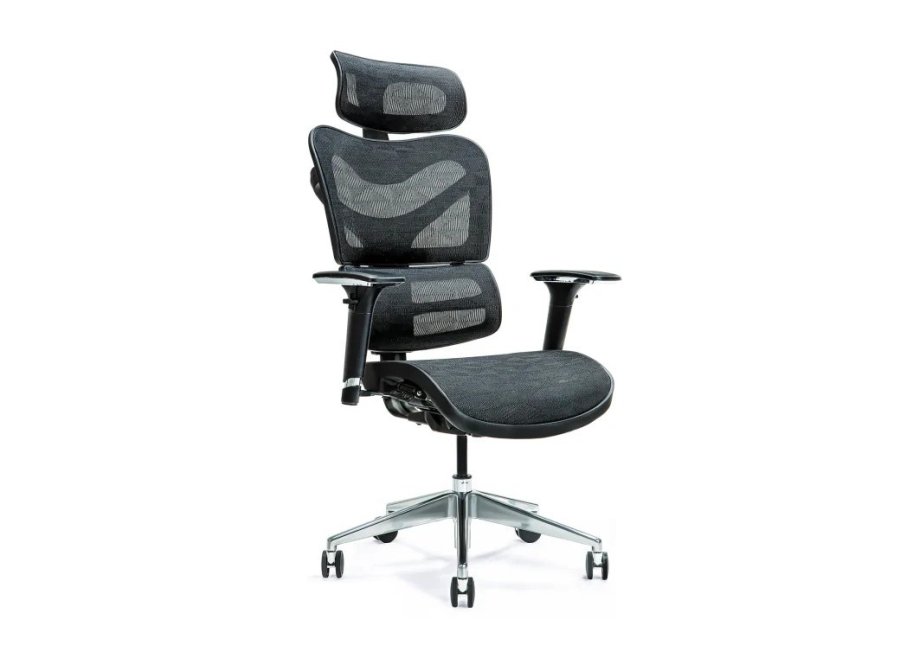 Ergonomisk kontorstol ERGO 600 sort #1