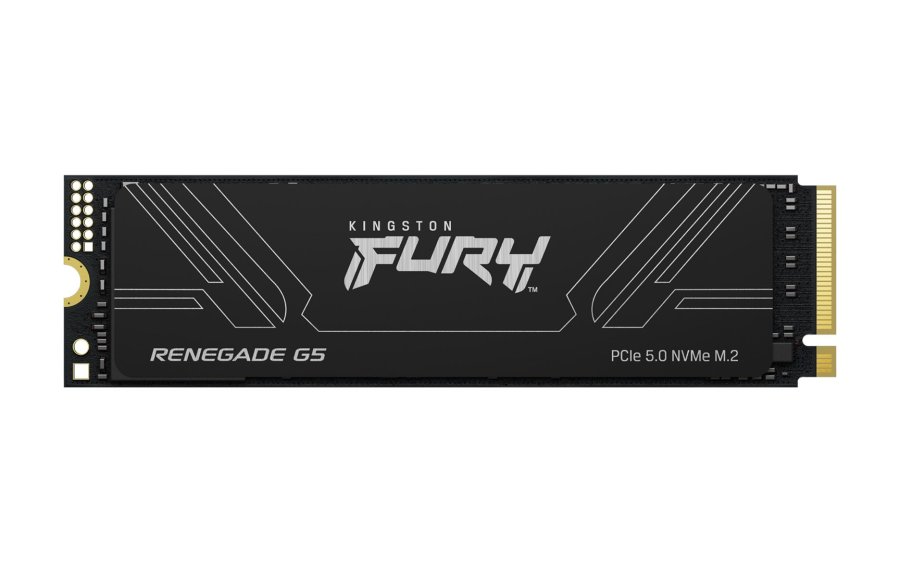 Kingston Technology 4T FURY RENEGADE G5 M.2 2280 NVMe SSD #1