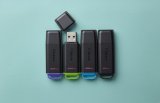 Kingston Technology DataTraveler Exodia USB-n�gle 256 GB USB Type-A 3.2 Gen 1 (3.1 Gen 1) Sort, Gr�n #8