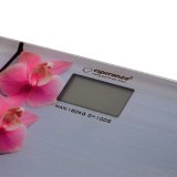 Esperanza EBS010 badevgt Elektronisk personlig vgt #3