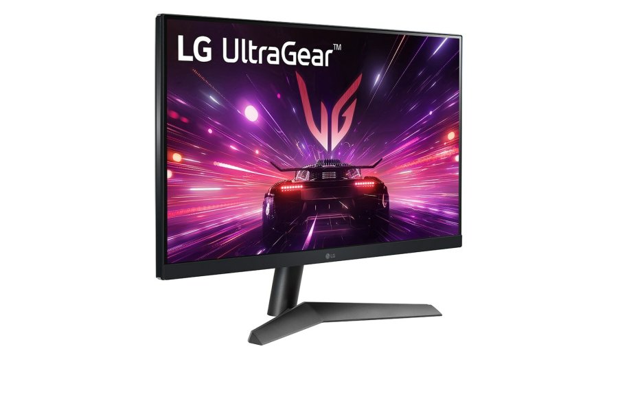 LG 24GS60F-B computerskrm 61 cm (24