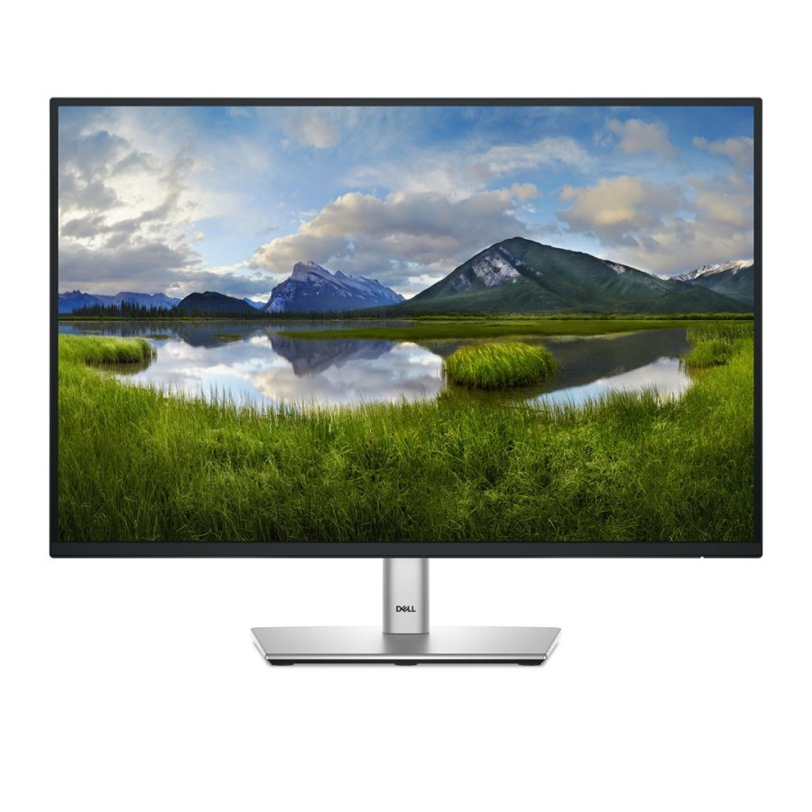 DELL P Series P2425E computerskrm 61,1 cm (24,1