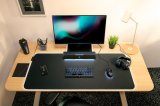 Razer Leviathan V2 X Sort 65 W #8