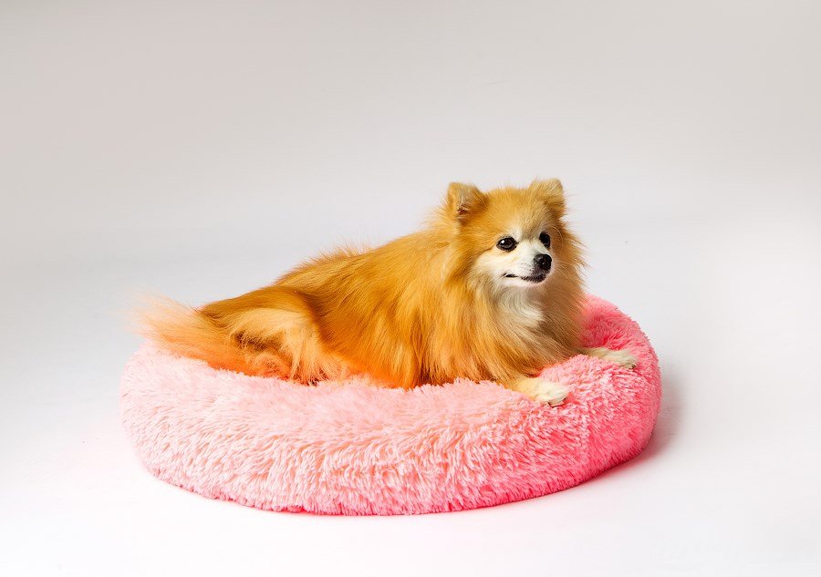 GO GIFT Shaggy pink M - seng til kledyr - 57 x 57 x 10 cm #3