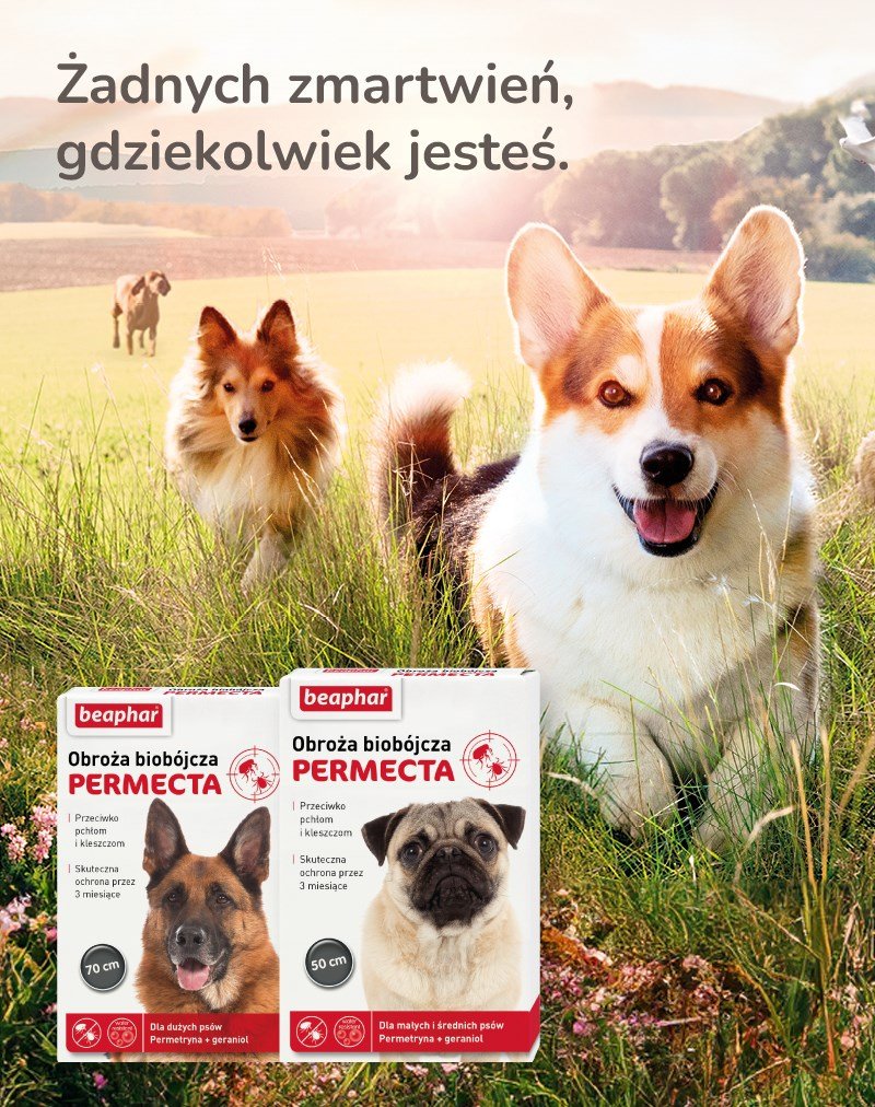 Beaphar biocidhalsbnd til sm og mellemstore hunde - 50 cm #8