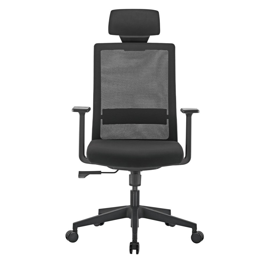 Premium ergonomisk kontorstol med hj ryg Ergo Office, max 150 kg, ER-425 #7