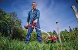 Einhell GP-CT 36/35 35 cm Batteri Sort, R�d #2