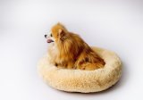 GO GIFT Shaggy creme L - seng til kledyr - 66 x 66 x 10 cm #2