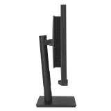 ASUS ProArt Display PA32UCXR computerskrm 81,3 cm (32
