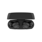Belkin SoundForm Rhythm Hovedtelefoner Trdls I rerne Opkald/musik Micro-USB Bluetooth Sort #3