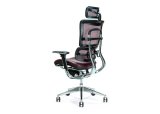 Ergonomisk kontorstol ERGO 800 plum #3