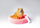 GO GIFT Shaggy pink M - seng til kledyr - 57 x 57 x 10 cm #4