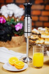 ELDOM Blender JAX, 1000 W, metalspids, hastighedsregulering, turbo #4