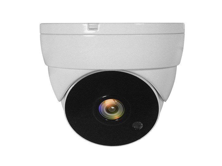 LevelOne ACS-5302 overv�gningskamera Kuppel CCTV sikkerhedskamera Indend�rs & udend�rs Loft #1