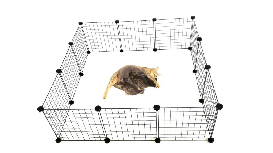 C&C Modulr hundeluftbane 145x75x37 cm #9