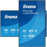 Monitor IIYAMA 65