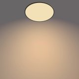 Philips Funktionel Super Slim loftslampe 36 W #3