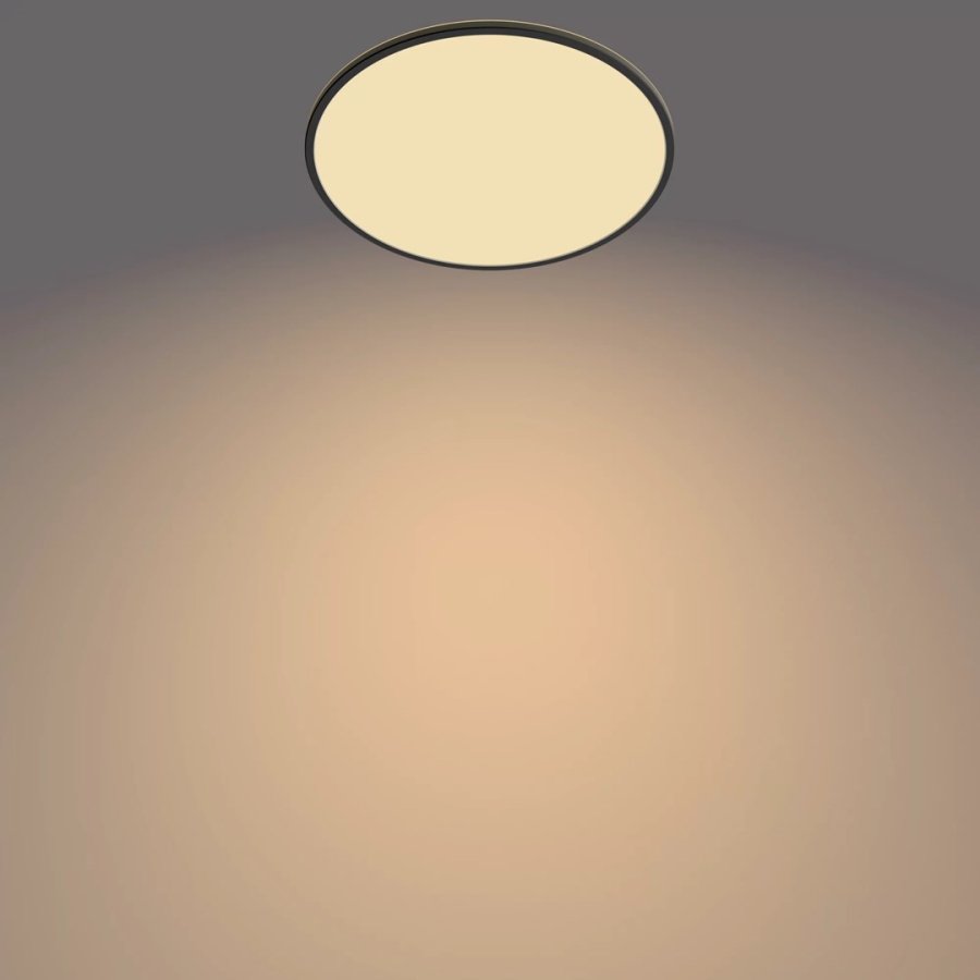 Philips Funktionel Super Slim loftslampe 36 W #3