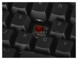 GAMING-TASTATUR ENDORFY OMNIS KAILH BR RGB #10
