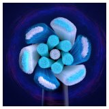 Oral-B iO Ultimate Clean 4210201342809 b�rstehoved til elektrisk tandb�rste 4 stk Sort #7