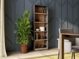 Topeshop R60 ANT/ART kontorreoel #7