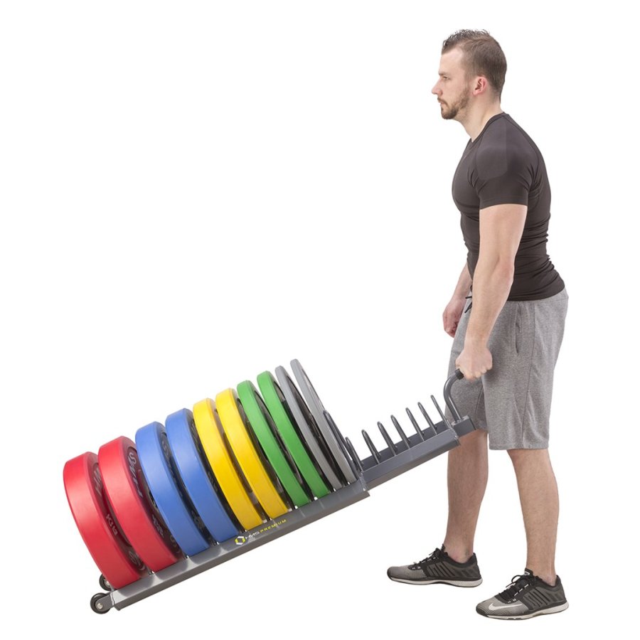 Lastvogn HMS Premium WPT01 #15