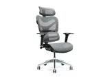 Ergonomisk kontorstol ERGO 600 gr #1