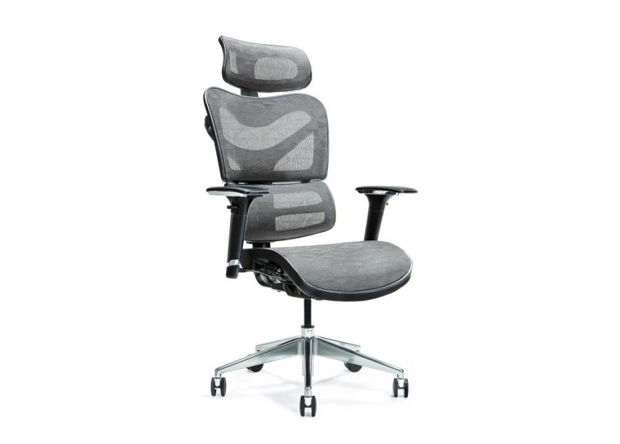 Ergonomisk kontorstol ERGO 600 gr #1